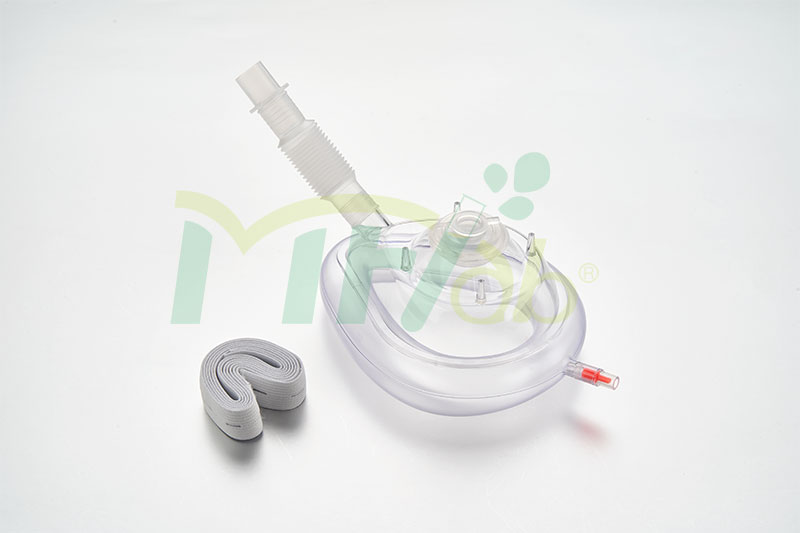 LB3035 Endoscope Mask